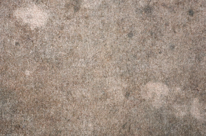 dirty carpet